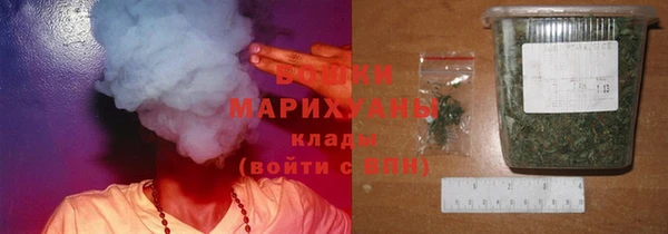 молекула духа Верхний Тагил