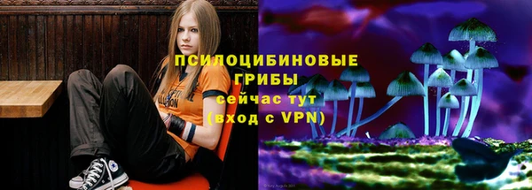молекула духа Верхний Тагил