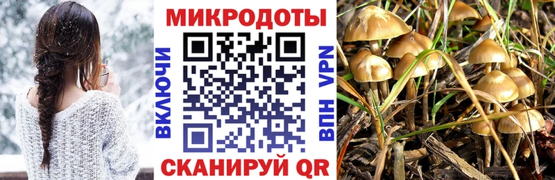 магазин наркотиков Искитим Галлюциногенные грибы мицелий